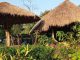Mawlynnong: Cleanest village of India.